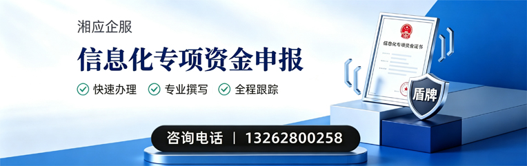 莆田信息化专项资金申报服务