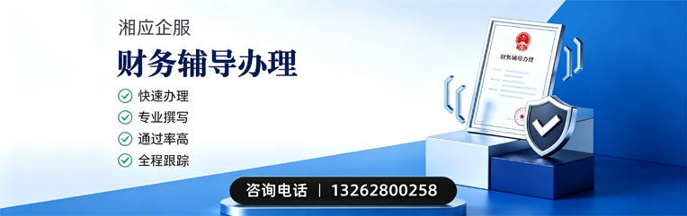莆田财务辅导申请服务