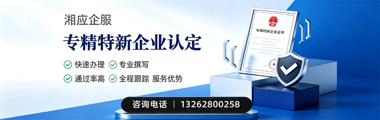 莆田专精特新企业申报服务