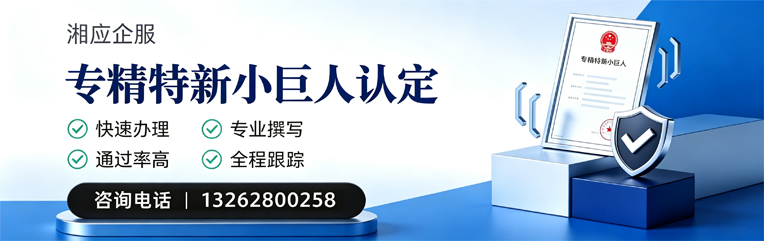 莆田专精特新小巨人申报服务